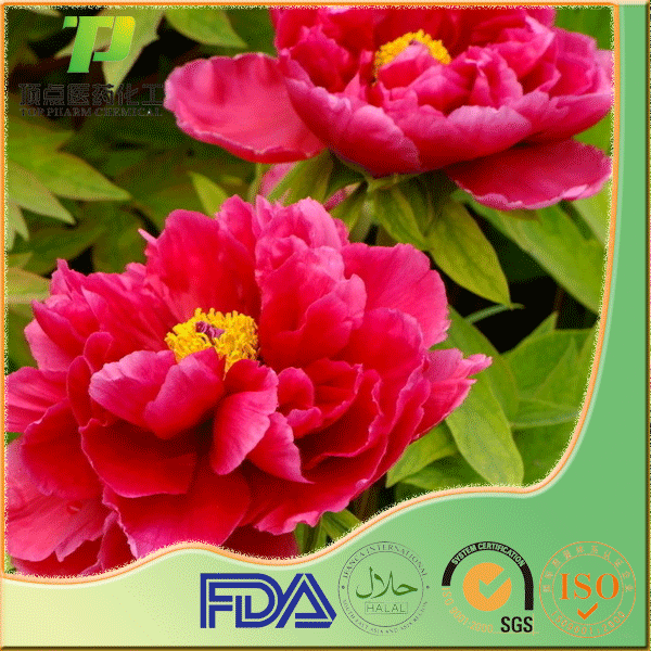 pure Peony bark Extract Paeonol