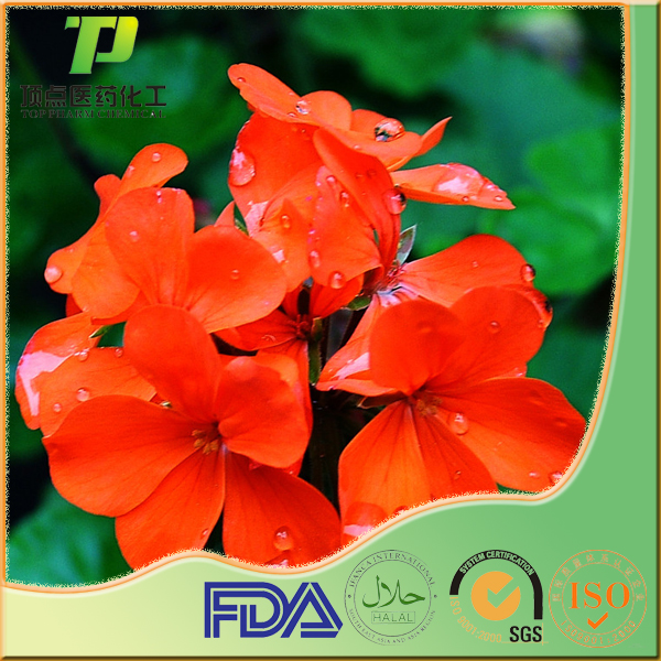 ���ÿ���