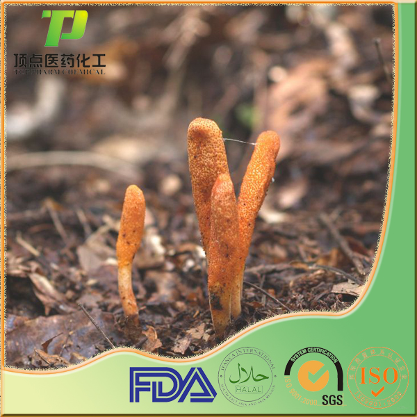 �����Ĳ���ȡ��