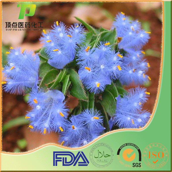 ��Ƥ���� 