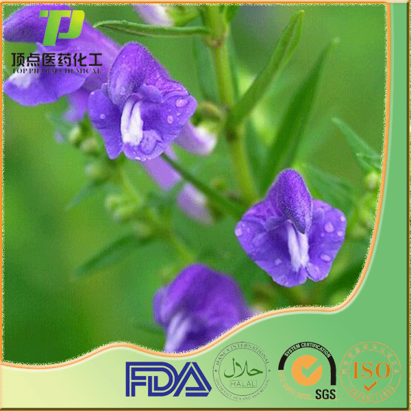 ������ȡ�� 