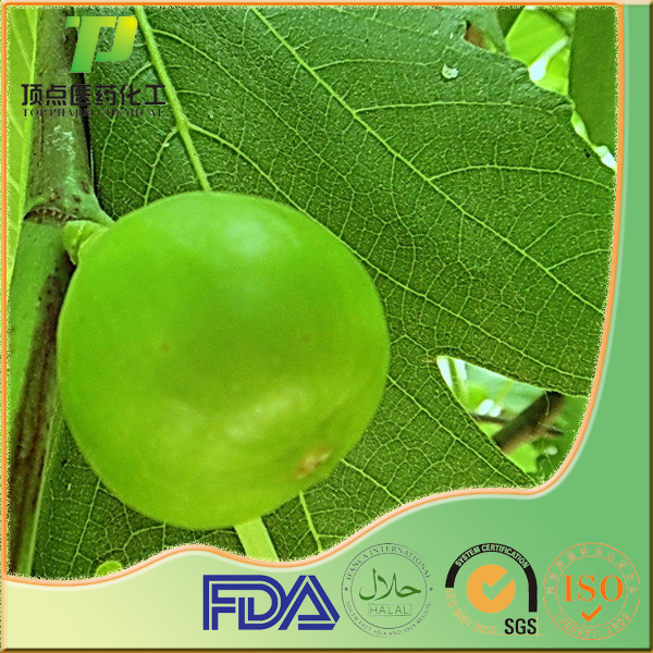 Fig extract