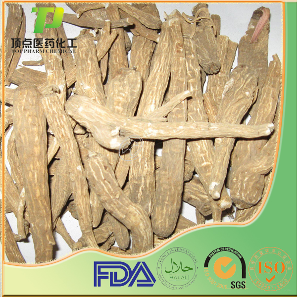 Angelica da hurica oil